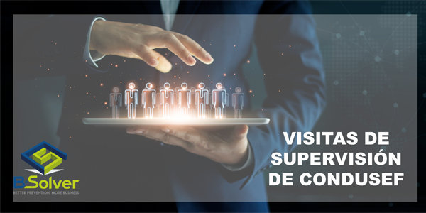 VISITAS DE SUPERVISION